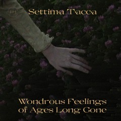 Settima Tacca - Greetings (A1, HH08)