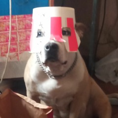 Morning Pressure 21-03-2023 04-20