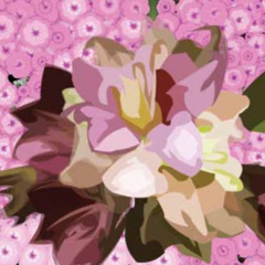 Ikebana (2006) for semi-virtual string octet