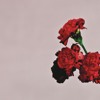 Who Do We Think We Are Album Version feat Rick Ross Who Do We Think We Are Album Version feat Rick Ross