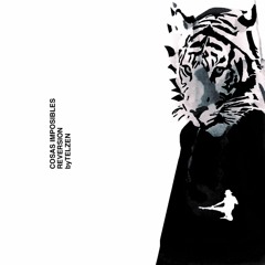 Cosas Imposibles (LoFi Moreteau mix)