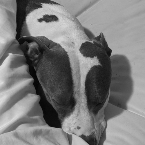 Underneath the Sheets (a's lullaby)