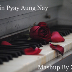 Tharaphi -A Sin Pyay Aung Nay(Mashup) By XAM