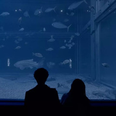 Nắng lung linh - Nguyễn Thương & Phong Max ( Demo )