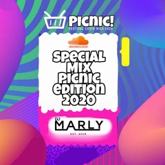 PicNic 2020 Edition