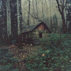 house in the woods (prod. 270connor)