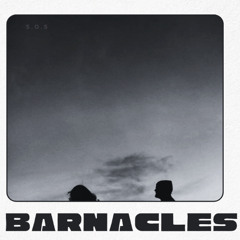 barnacles