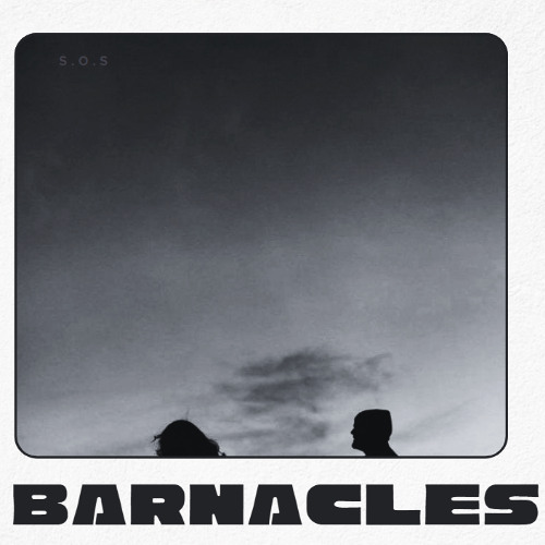 barnacles