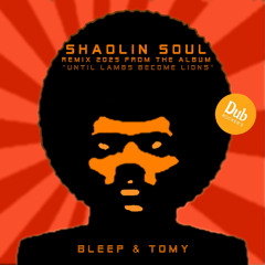 Shaolin Soul (new remix by Bleep & Tomy)