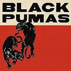 Oct 33 - Black Pumas Cover