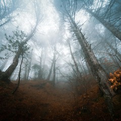 Lost