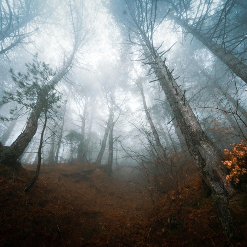 Lost