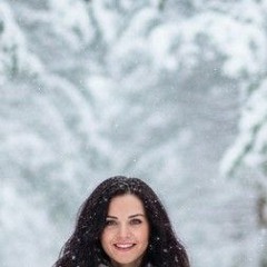 Norway - Cold forest