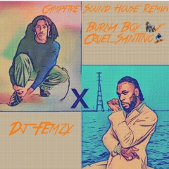 Burna X Cruel Santino House Remix
