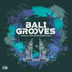 Bali Grooves Sample Pack (Preview 2)