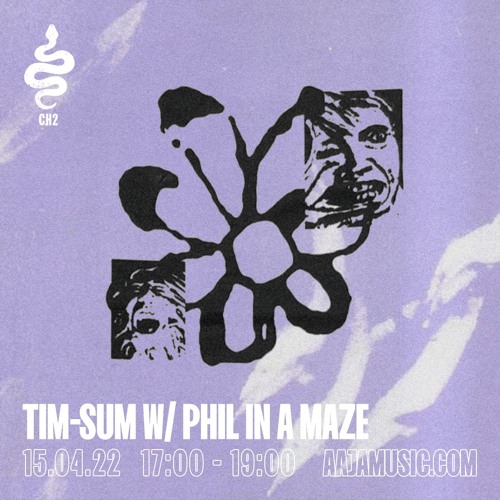 tim-sum w/ phil in a maze - Aaja Channel 2 - 15 04 22