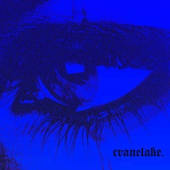 Triston Davis - You Lied (cranelake. remix) [slowed]