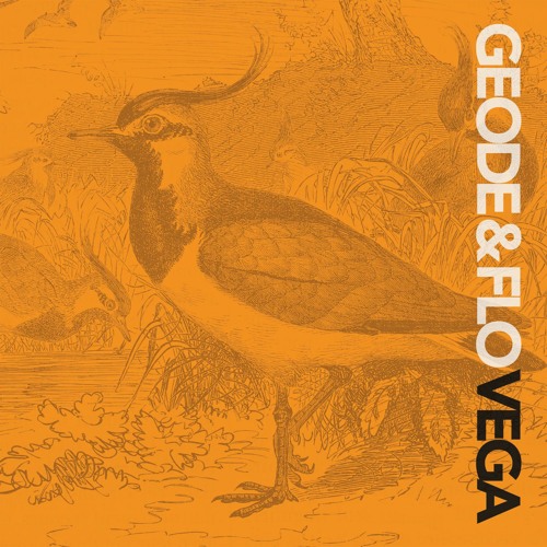 Geode & FLO - Vega EP (12" and digital)