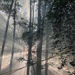 Mapei - Ether (Imaginary Hair Remix)