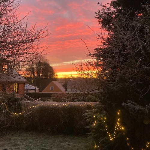 Cool Morning Color Scale
