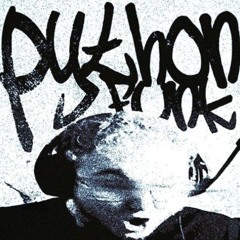 Python Funk Ft Sayfalse RD12
