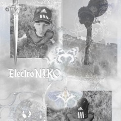 ElectroNIKO