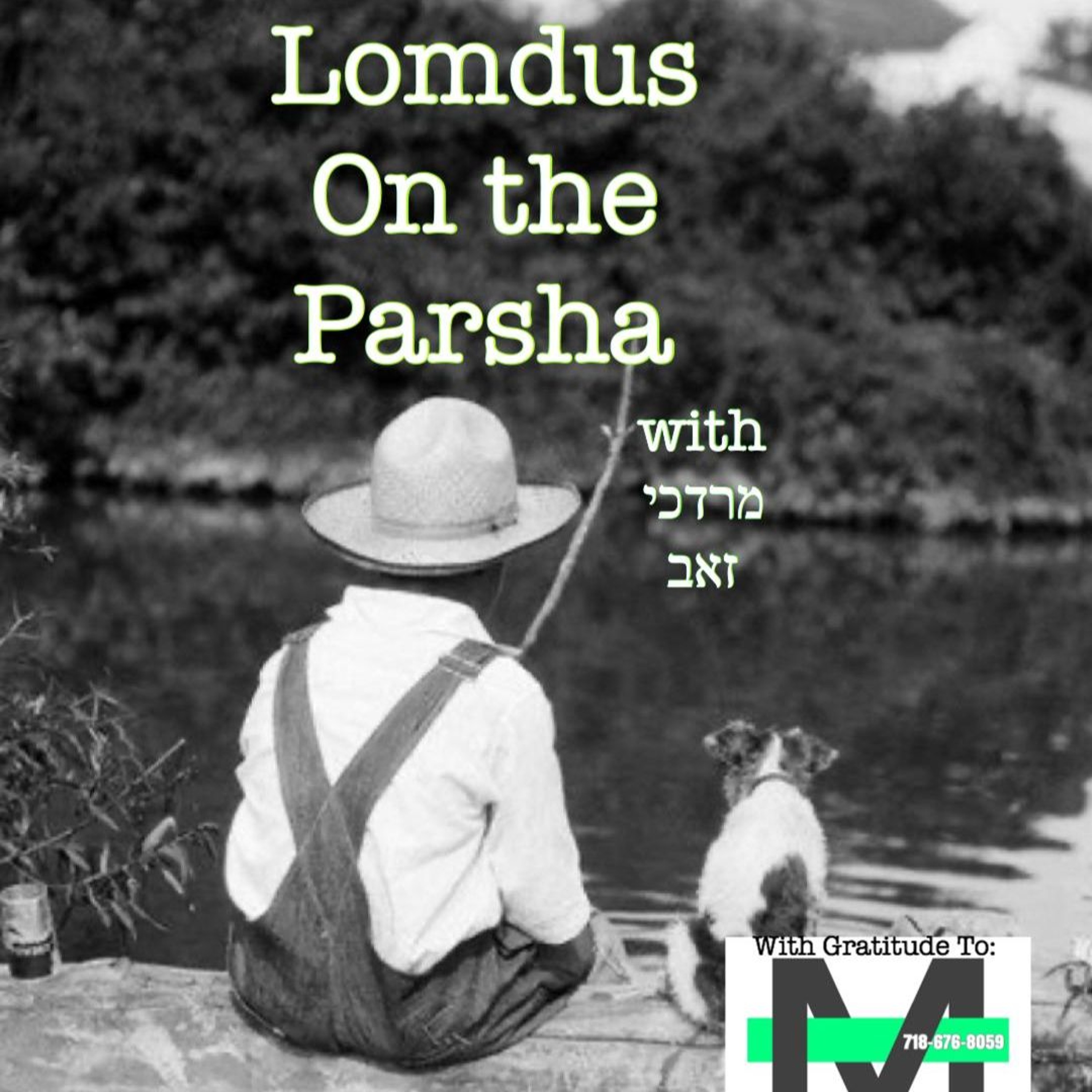 On Meat   High 5 On The Parsha  Re’Eh episode artwork
