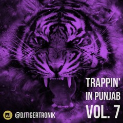Trappin' in Punjab Vol. 7 | Party Mix | TIGERTRONIK