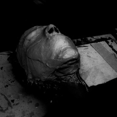 Heilung - Fylgija Ear (Echo Remix)