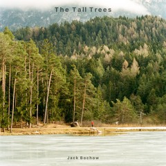 The Tall Trees