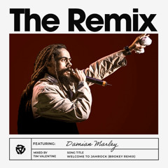 Welcome to Jamrock (Brokey Remix)