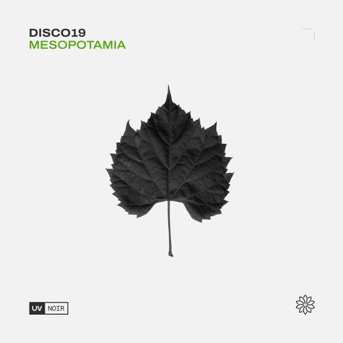 DISCO19 - Mesopotamia [UV Noir]