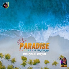 Party In Paradise - Dj-Katchey ft. BiGDoggy