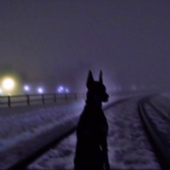 tnotsobad - Too Much Gas (sasmochi X Cashvvs)