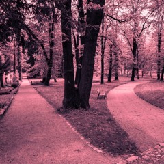 Our Separate Ways