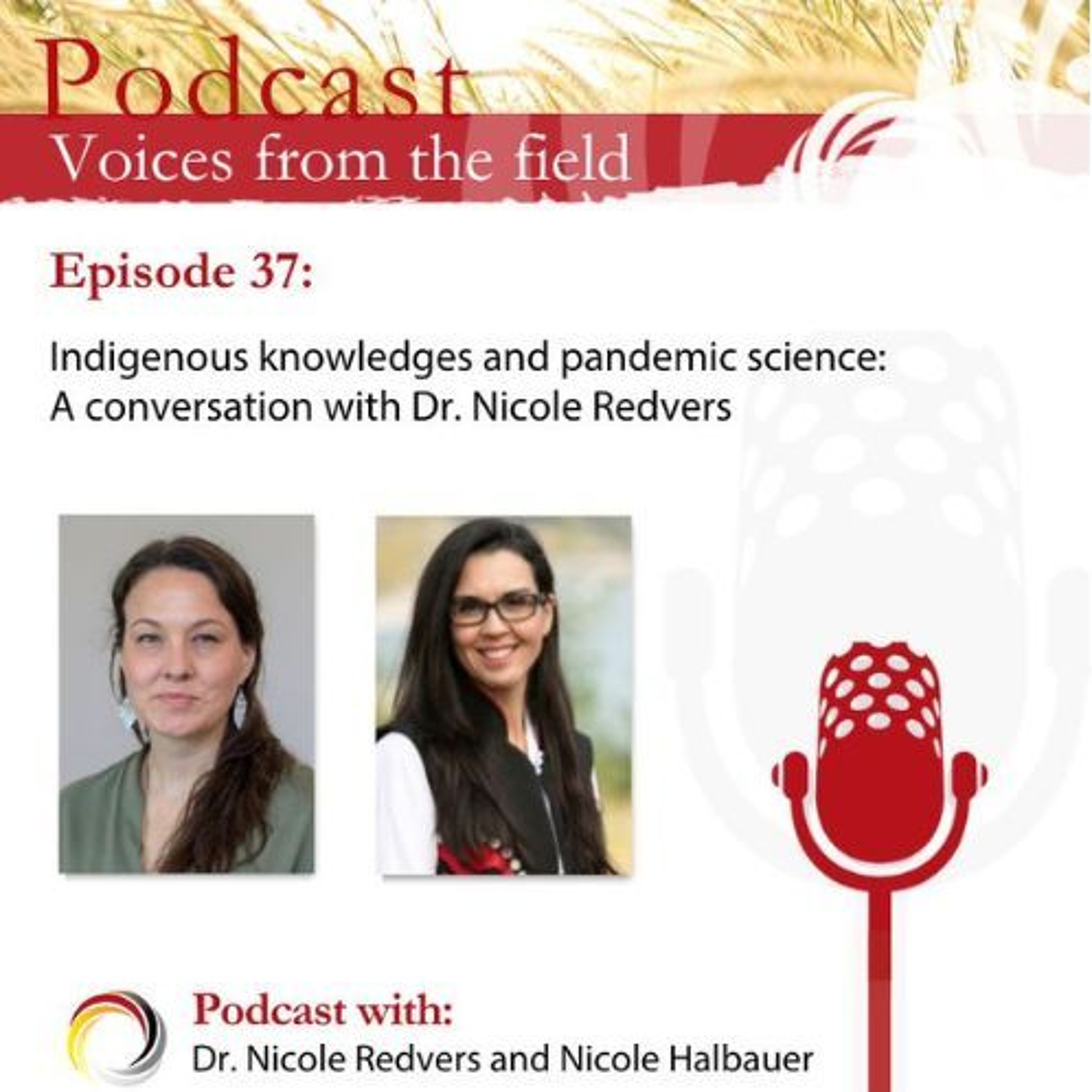 Voices from the Field