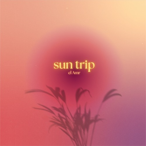 sun trip