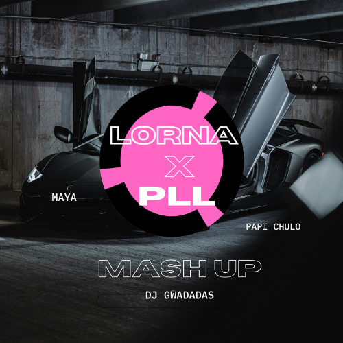 Maya x Papi Chulo (dj Gwadadas Mash-up)