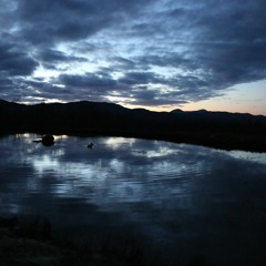 How Not To Make Life Decisions - Soryu Forall