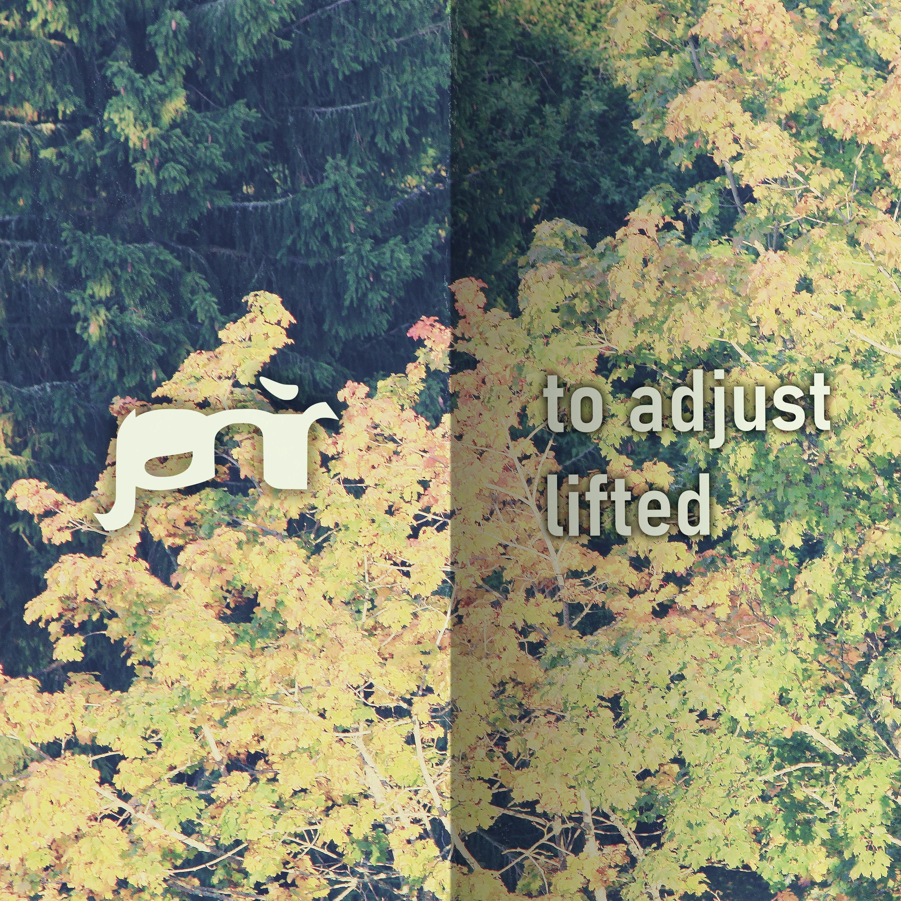 To Adjust