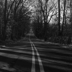 The Ster Chronicles 4