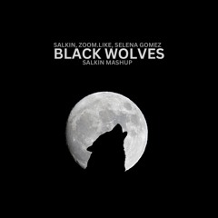 Black Switch x Wolves (Salkin Mashup) - Selena Gomez, Salkin, Zoom.Like