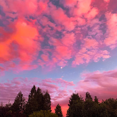 lovwr aka lavvless - Liquorice