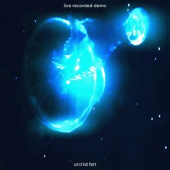 orchid felt (live recording)