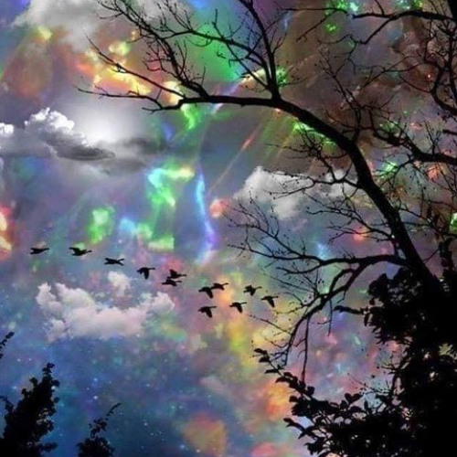 YanNoos - Ghost In 48 space