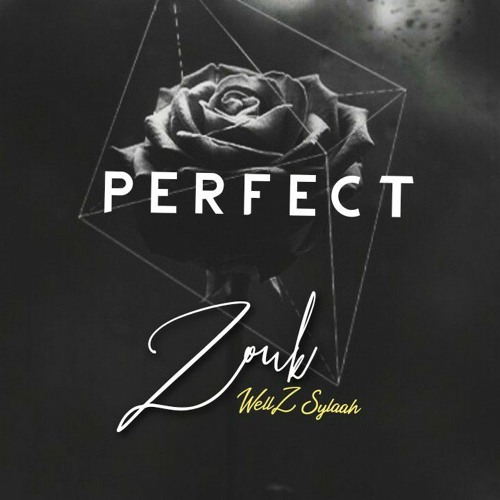 P E R F E C T - Zouk  (WellZ Sylaah) 2021