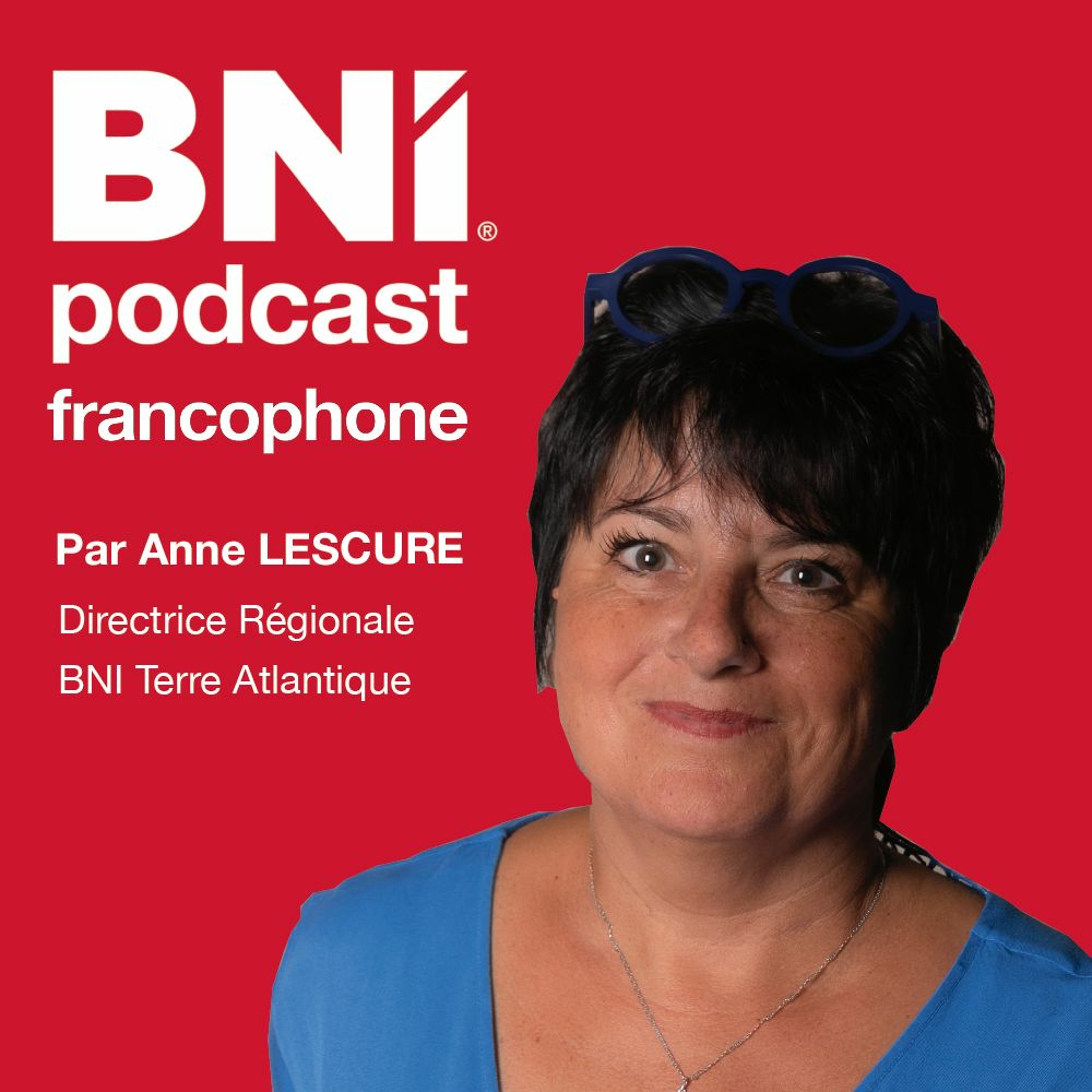309 Les Réseaux Sociaux Source De Recos PODCAST A.LESCURE episode artwork