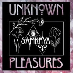 Unknown Pleasures