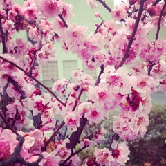 Bodies (In The Dark)