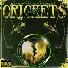 Crickets ✵ (prod. Wasay)